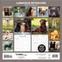Thumbnail Image for 973956-4
