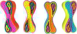 Image for 971032