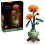 Thumbnail Image for 960571-1