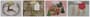 Thumbnail Image for 950332-2