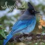 Thumbnail Image for 973973-1