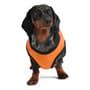 Thumbnail Image for 9969907-5