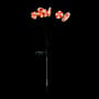 Thumbnail Image for 989872-2