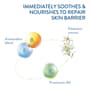 Thumbnail Image for 895805-2
