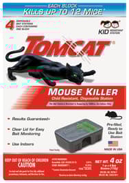 Image for 684255