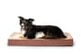 Thumbnail Image for 856275-8