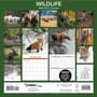Thumbnail Image for 973974-4