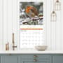 Thumbnail Image for 973973-3