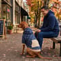 Thumbnail Image for 9993613-6