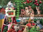 Thumbnail Image for 854159-49