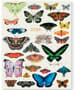 Thumbnail Image for 977287-1
