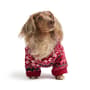 Thumbnail Image for 9969937-5