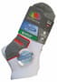 Thumbnail Image for 924263-1