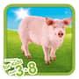 Thumbnail Image for 878356-3
