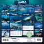 Thumbnail Image for 973972-4