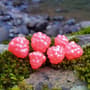 Thumbnail Image for 104102-1