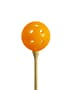 Thumbnail Image for 975061-2