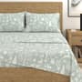 Thumbnail Image for 9972526-1