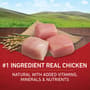 Thumbnail Image for 841908-2