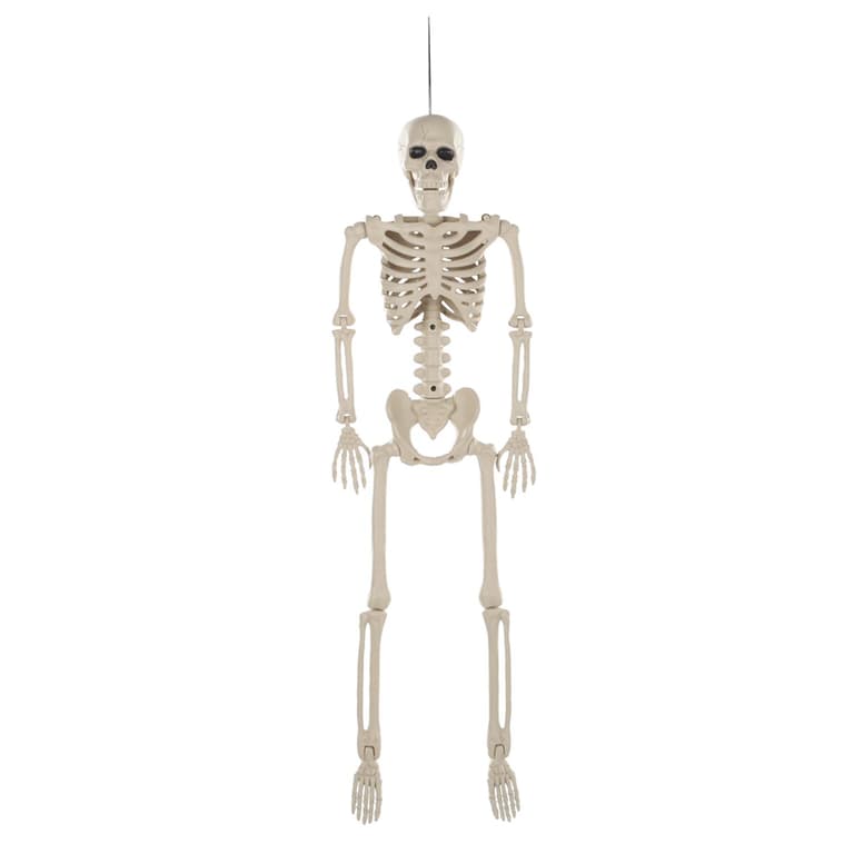 Image for 987695
