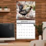 Thumbnail Image for 973977-3