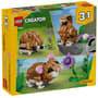 Thumbnail Image for 987804-2