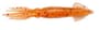 Thumbnail Image for 634889-1