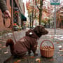 Thumbnail Image for 9988062-6