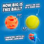 Thumbnail Image for 993783-6