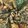 Thumbnail Image for 990280-2