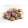 Thumbnail Image for 799676-2