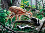 Thumbnail Image for 854159-30