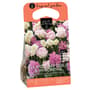 Thumbnail Image for 908635-1