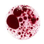 Thumbnail Image for 950417-2