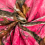 Thumbnail Image for 990279-21