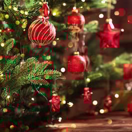 HolidayAndSeasonal-Christmas.jpg