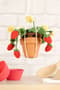 Thumbnail Image for 983636-4