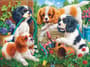 Thumbnail Image for 854158-30