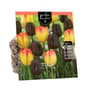 Thumbnail Image for 972886-1
