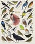 Thumbnail Image for 977290-1