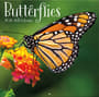Thumbnail Image for 973966-1