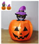 Thumbnail Image for 966511-1