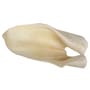 Thumbnail Image for 993291-4