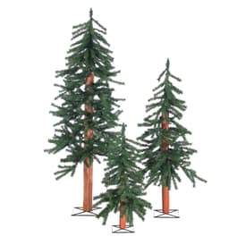 Image for 973821