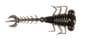 Thumbnail Image for 927186-1