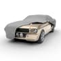Thumbnail Image for 900739-1