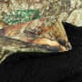 Thumbnail Image for 990280-18