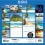 Thumbnail Image for 973964-4