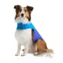 Thumbnail Image for 9969975-5