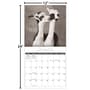 Thumbnail Image for 973979-2